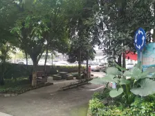 三设计院家属院 3室2厅 南