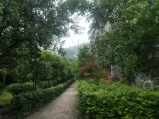 龙井佳苑二期,精装五室,带三个露台,看房方便