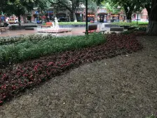 滨江路旁,出行方便位置好。环境优美