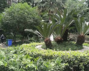 贵通御苑金枫阁2室2厅东西