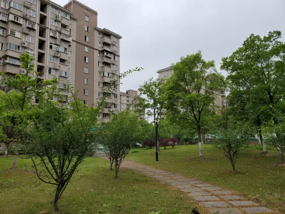 滨浦新苑八村