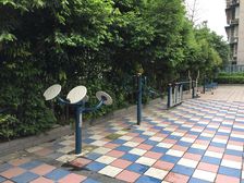 新桥丽景B区1室1厅南北