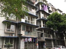 新桥丽景B区1室1厅南