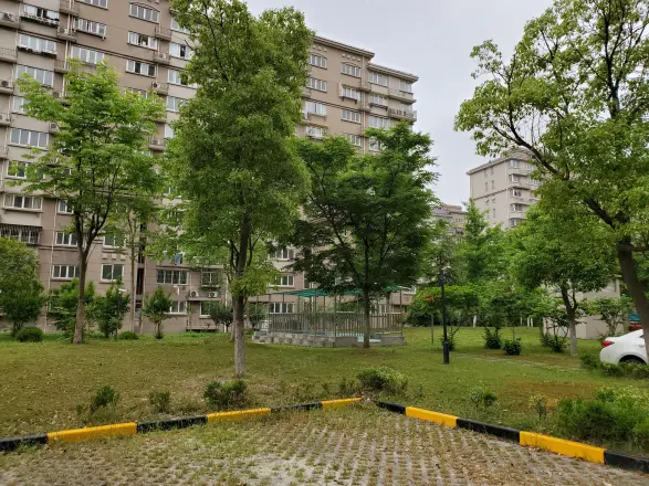 滨浦新苑八村