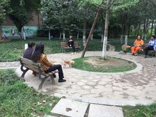 泉水东苑B区2室1厅南