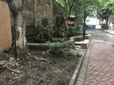 加州新牌坊 都市坐标二房88万