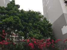 泉水人家二期A区1室1厅南