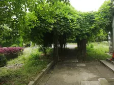 一梯两户,大开间,南北通透,环境优美,底楼房,简欧轻奢,诚意出售,无税房