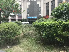 四号线 团结桥 惠康公寓电梯房