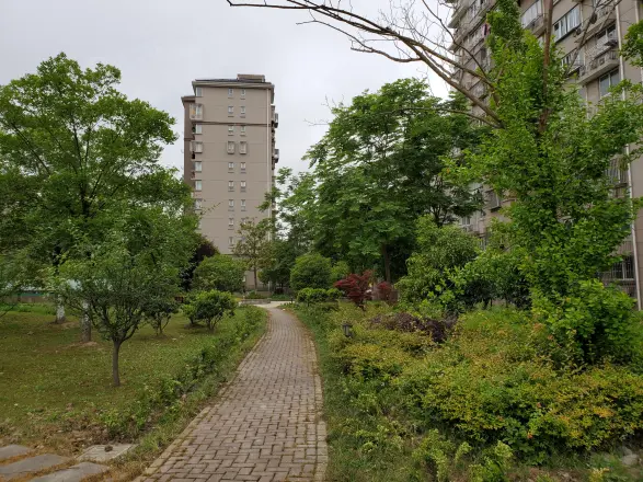 滨浦新苑八村