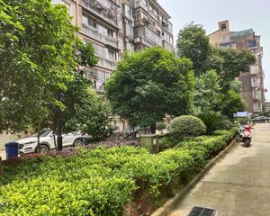 澄湖左岸 两房 精装 光线很好