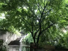 学府路 伴山雅筑四房184万