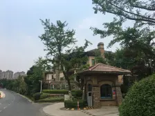 保利诺森伯兰买一层得一层,全明地下室带院子