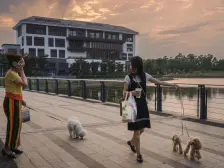 广佛新世界单边位别墅 大花园 位置好 价格便宜