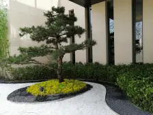 花园洋房,金籣府一楼带80多平花园,四室两卫,