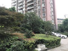 西路 龙锦苑小区二房58万