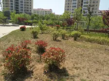 学府小区 3室2厅 南 北