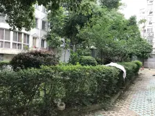 澄碧湖畔莲花家园小区跃式精装拎包入住