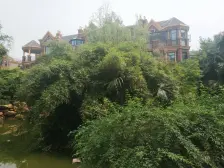 联排别墅,带院子,毛坯五层,随时看房