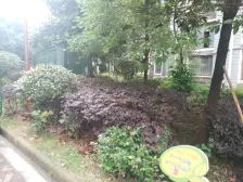 平安曼哈顿风情(聚仁哈佛公馆) 南北通透,采光好 装修好,环镜优美 中间楼层