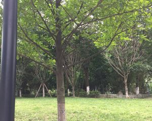 万科金域蓝岸2室2厅南
