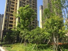 云水湾交通出行方便,户型方正采光好