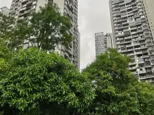 南桥寺 石油家益佳禾园三房88万
