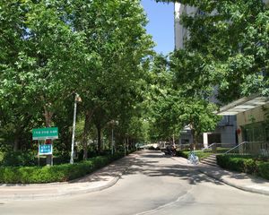 电业局单位房南北通透客厅带窗户