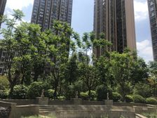 积家御景3室2厅南北