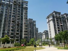 电梯房,好楼层,靠菜场,采光好