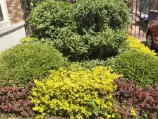 翰林苑前排3室2厅2卫,视野可好了,心情也舒畅