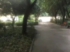 正朝南 视野开阔无遮挡 小区设备齐全 业主诚心出售