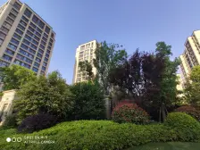 99新,五房设计,屋况好,满五年,有车位,诚意出售