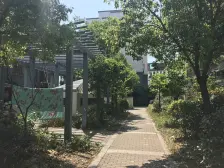 瑞福花园 小户 业主诚心卖 中间楼层