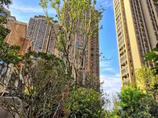 临河而居 新中式装修 保持好 配套齐全 随时可看