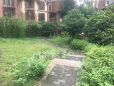 龙头寺 纯洋房小区 全红木