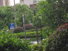 电梯房,大开间,品质小区,精装修