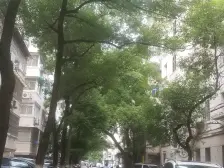 医学院北院 南北通透,采光好 装修好,环镜优美 中间楼层