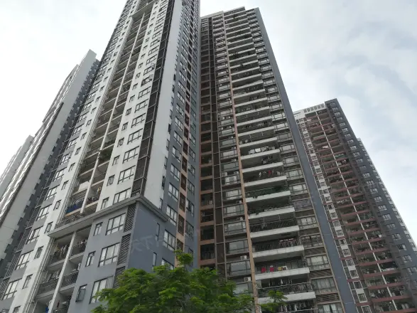 文冲回迁房