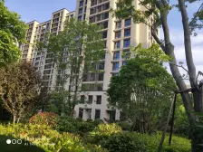 九龙仓滨江壹十八4室2厅3卫南朝向3580.00万元/套出售