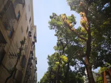 鲁迅公园 · 欧阳路679弄 · 2室 · 1厅