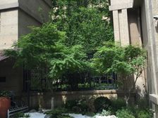 中海城南华府 4室2厅 南 北