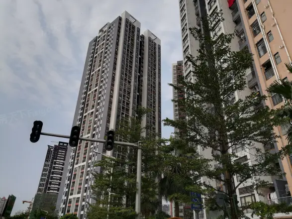 文冲回迁房