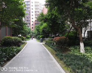 新雨香沁3室2厅西北