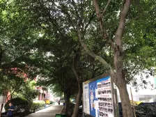 业主自住 交通方便 住家出租均可