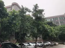 石坪桥 华奥小区五房160万