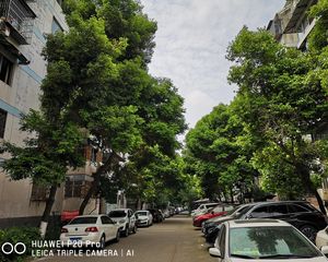 金卉苑2室1厅东南