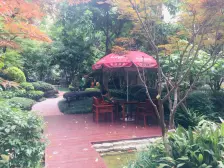 龙湖弗莱明戈二期 3室1厅 西南