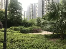 轻轨刚需小户 总价低 诚心卖 户型方正