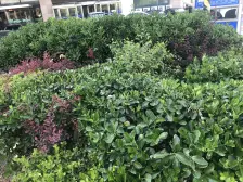 福佳国际带越层 采光好 近轻轨